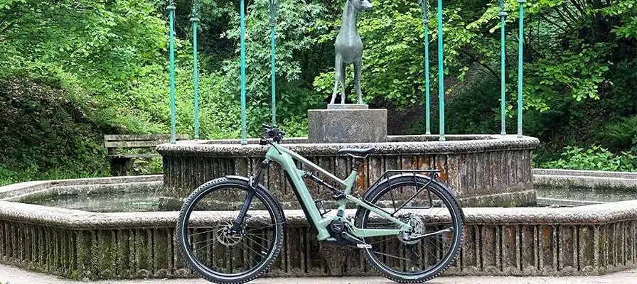 Cannondale Moterra Neo EQ E-Bike vor einem Brunnen im Wald