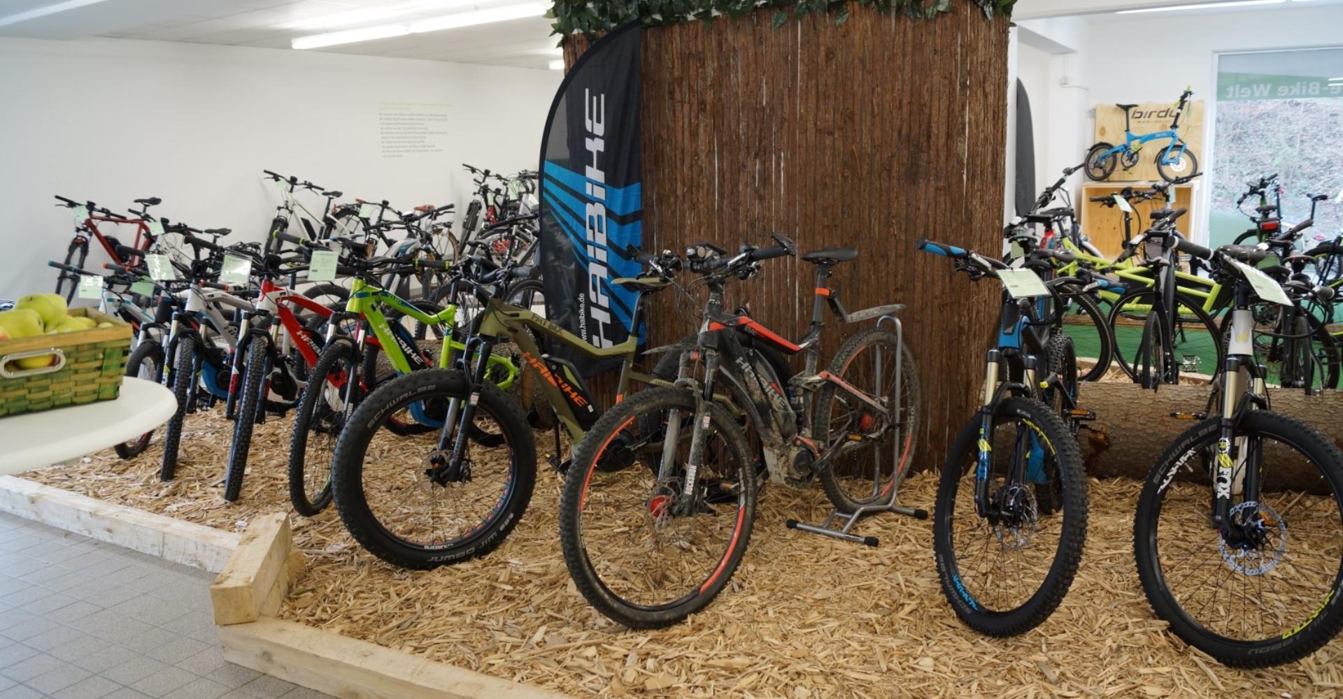 Innenansicht der e-motion e-Bike Welt Stuttgart 2016