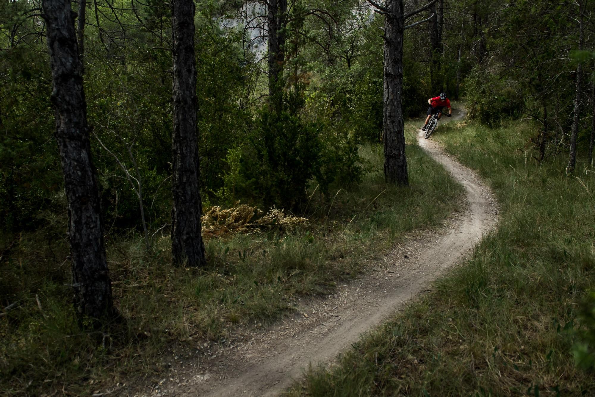 Erleben Sie die Power des Shimano EP8 2022 E-Bikes auf einem kurvigen Waldpfad. Ideal für Abenteuerliebhaber und Ou