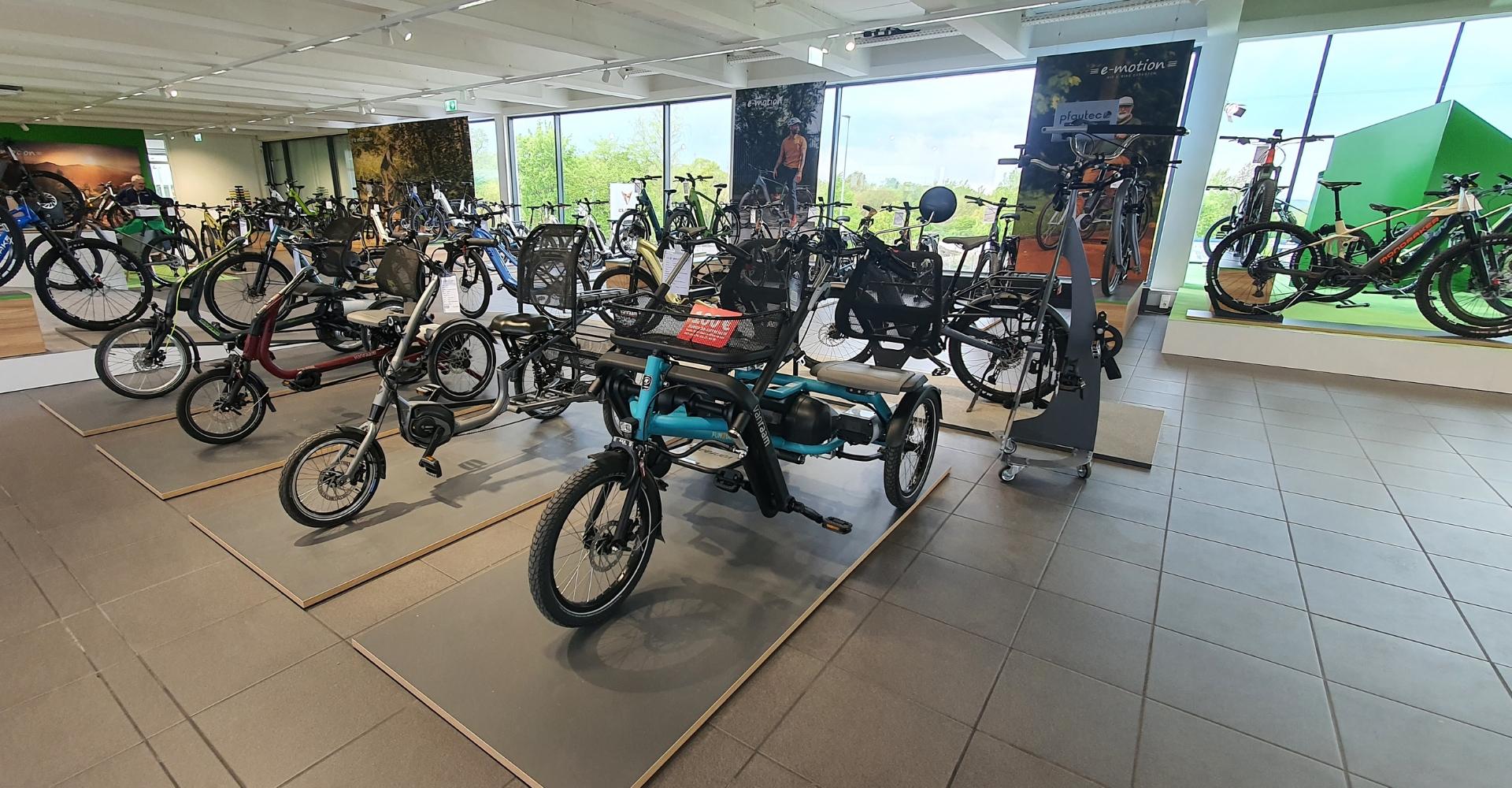 Der Verkaufsraum der e-motion e-Bike Welt Passau. Es stehen verschiedene Bike-Typen auf kleinen Podesten