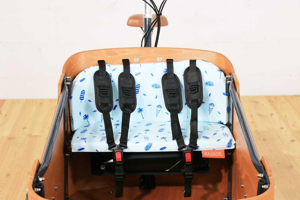 Die Transportbox mit Polster und Sicherheitsgurt