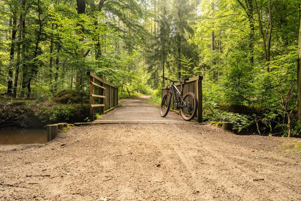 Das Bild zeigt ein Cannondale e-MTB im Wald auf einer Brücke in Lüneburg