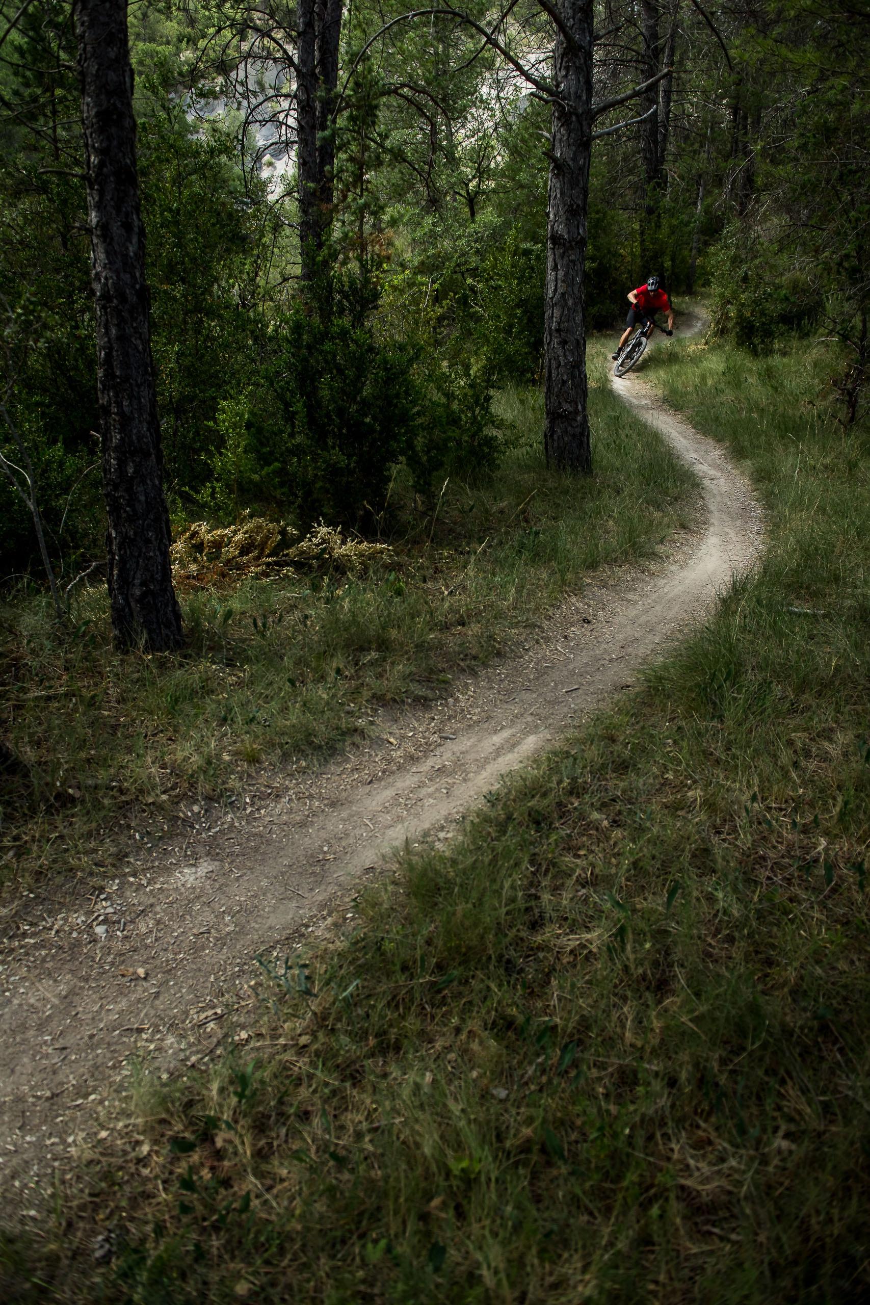 e-Biker im Wald auf Weg