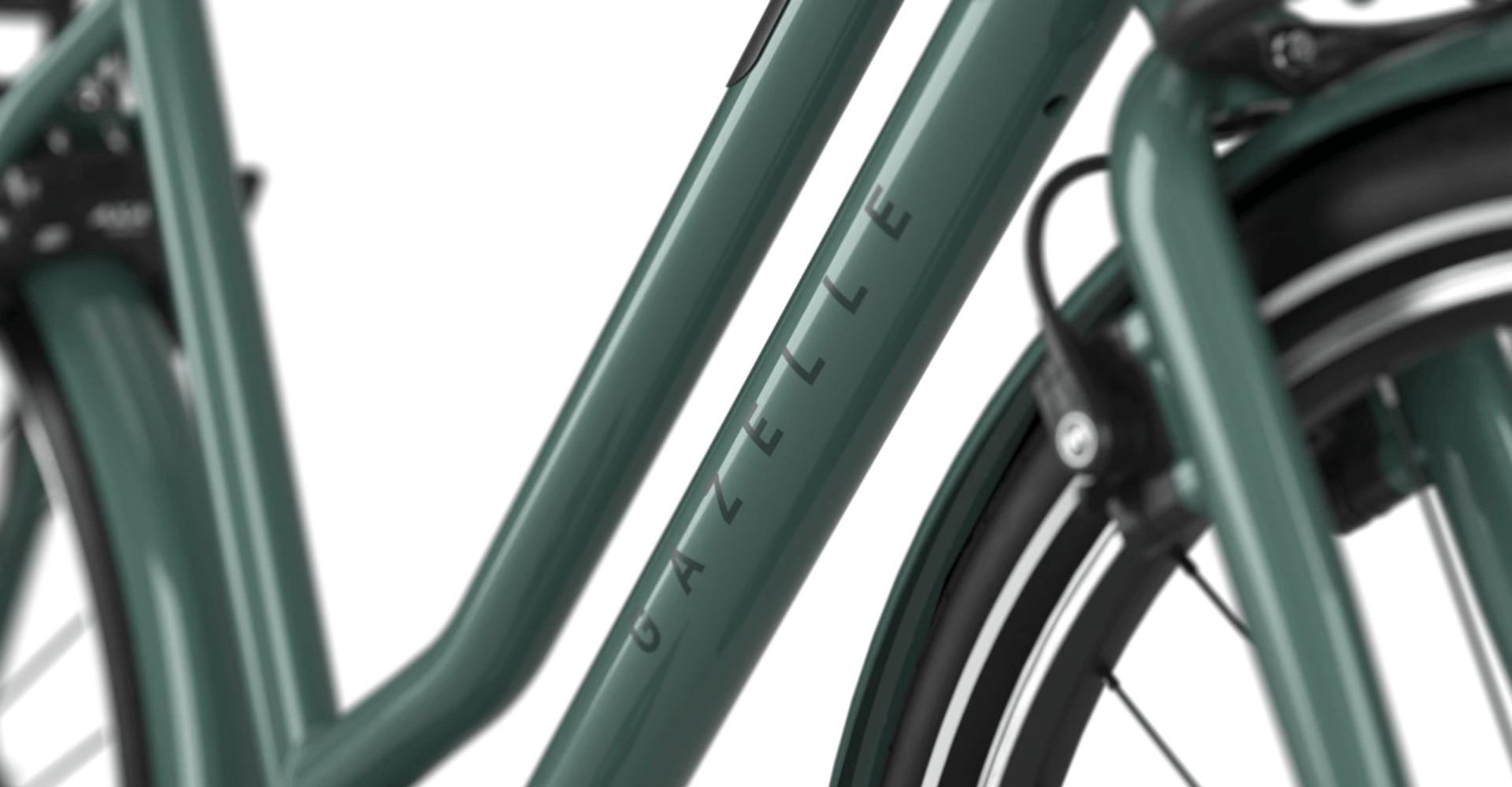 Detailbild Gazelle HeavyDutyNL C5