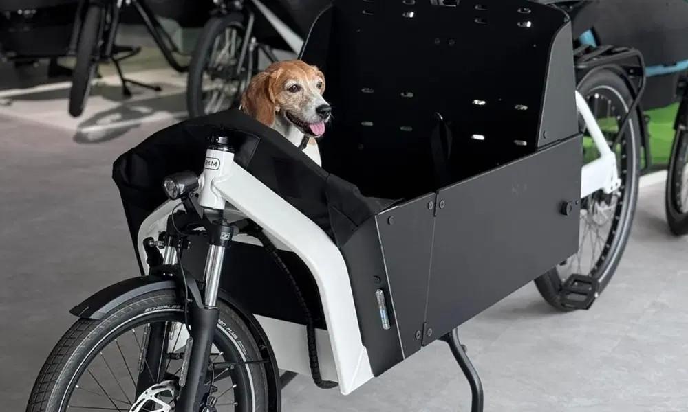 Das Bild einen Hund in einem Lastenrad in der e-motion e-Bike Welt München Süd