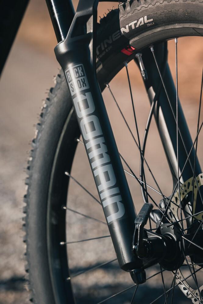 Das Bild zeigt die Gabel eines R Raymon TrailRays.