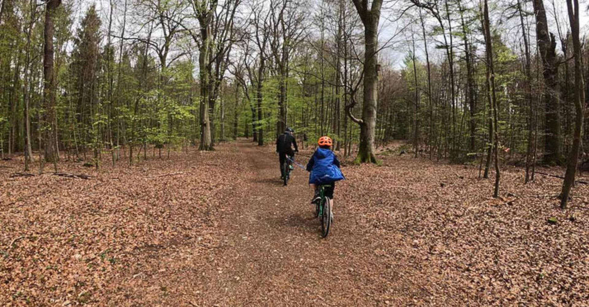 Ein Mann fährt mit seinem e-Bike und Abschleppseil mit einem Kind auf einem weiteren Bike durch den Wald