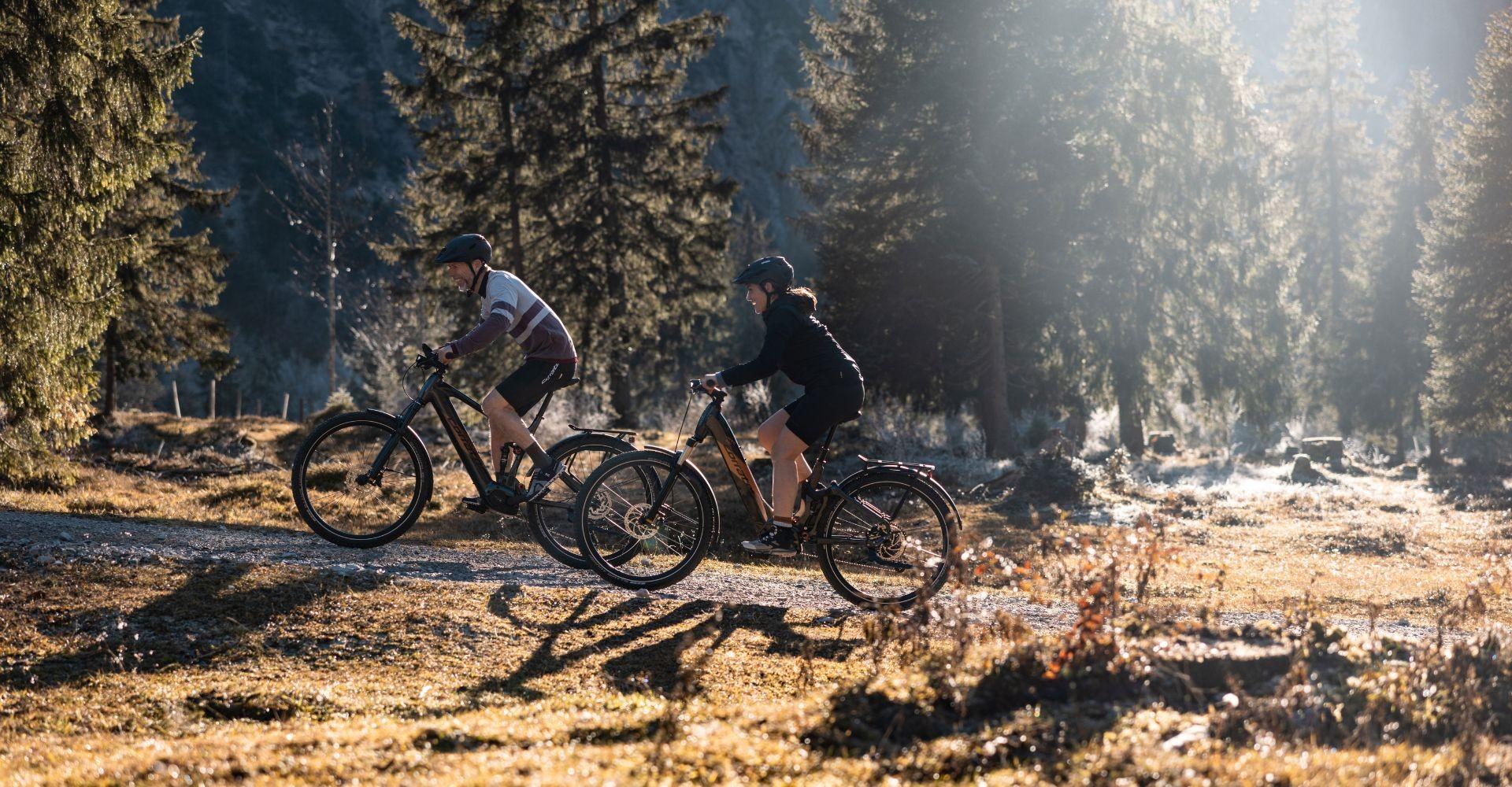 Das Bild zeigt zwei Radfahrer, die auf einem unbefestigten Weg durch eine bewaldete Landschaft fahren, was die Viel