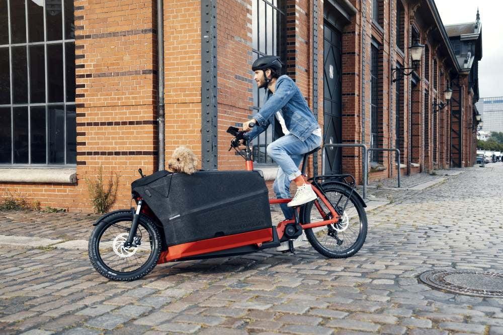 Mann auf Riese & Müller Packster 70 E-Bike mit Hund in der Transportbox