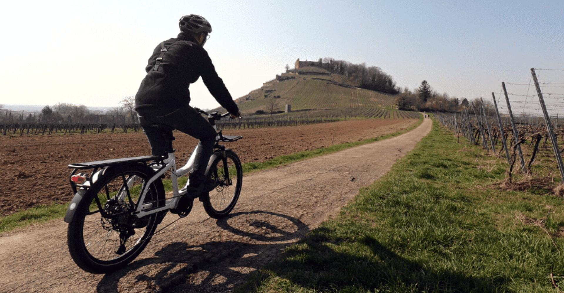 Ein Mann fährt mit dem Riese und Müller Multicharger 2022 Weinberge hoch