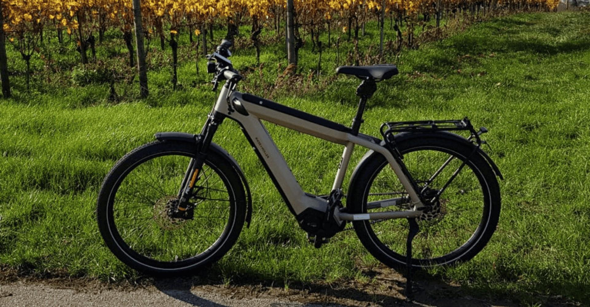 Das e-Bike Riese & Müller Supercharger2 GT Vario HS 2020 steht vor einer Wiese
