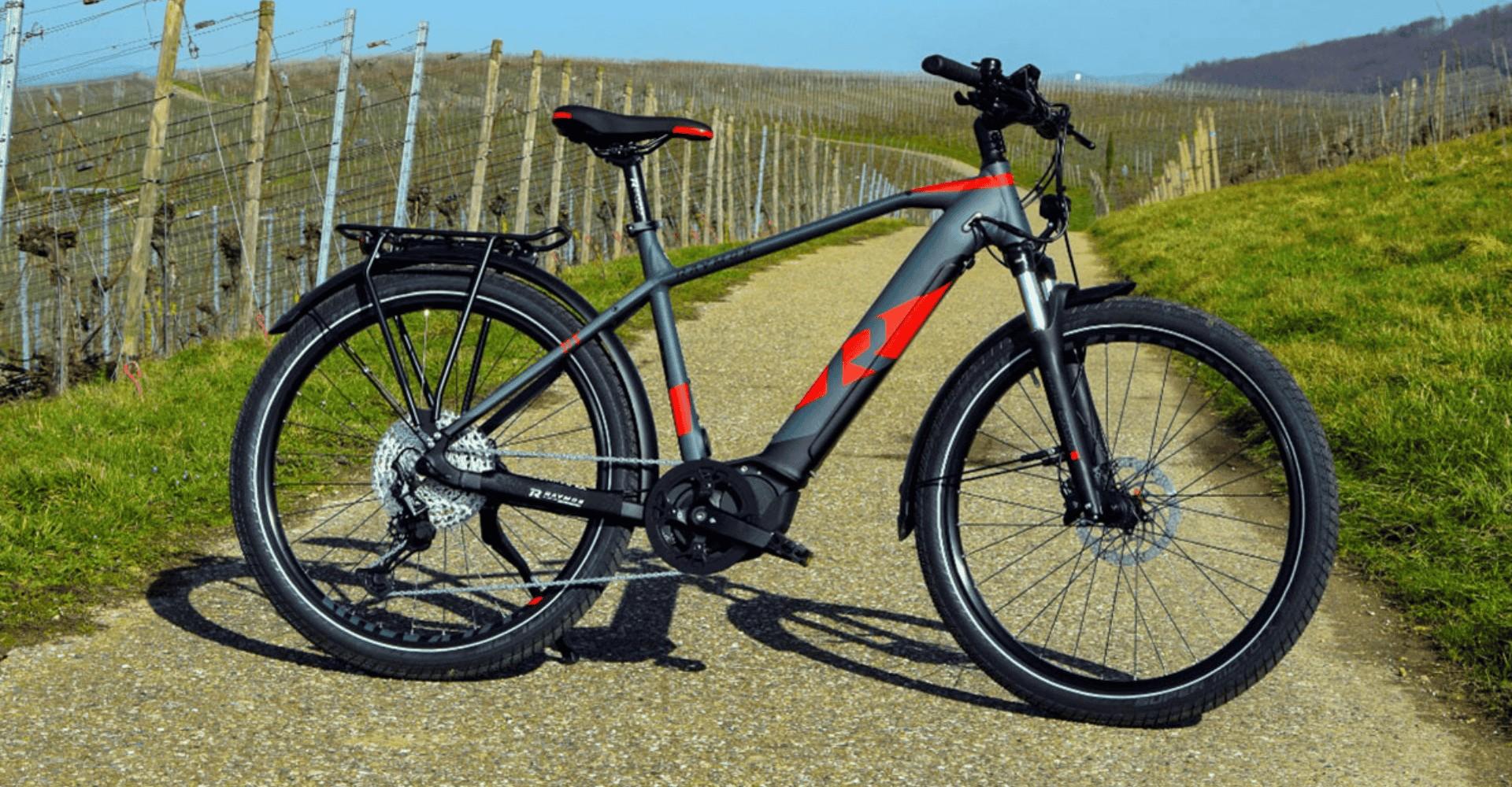 Das Raymon Tourray E 8.0 e-Bike auf dem Weinberg