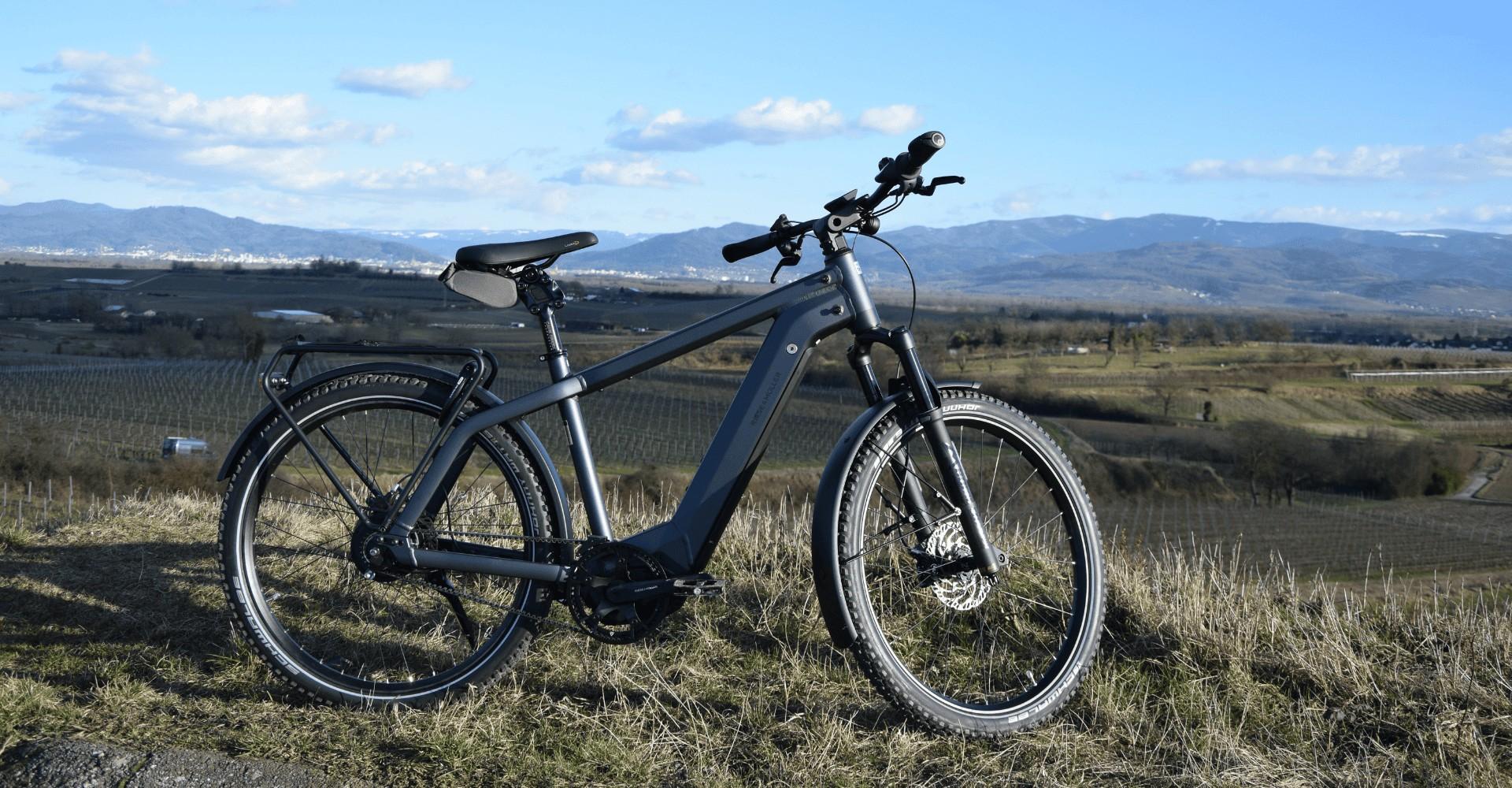Das Riese und Müller Charger3 GT vario in der Natur steht auf einem Hügel mitten in der Natur