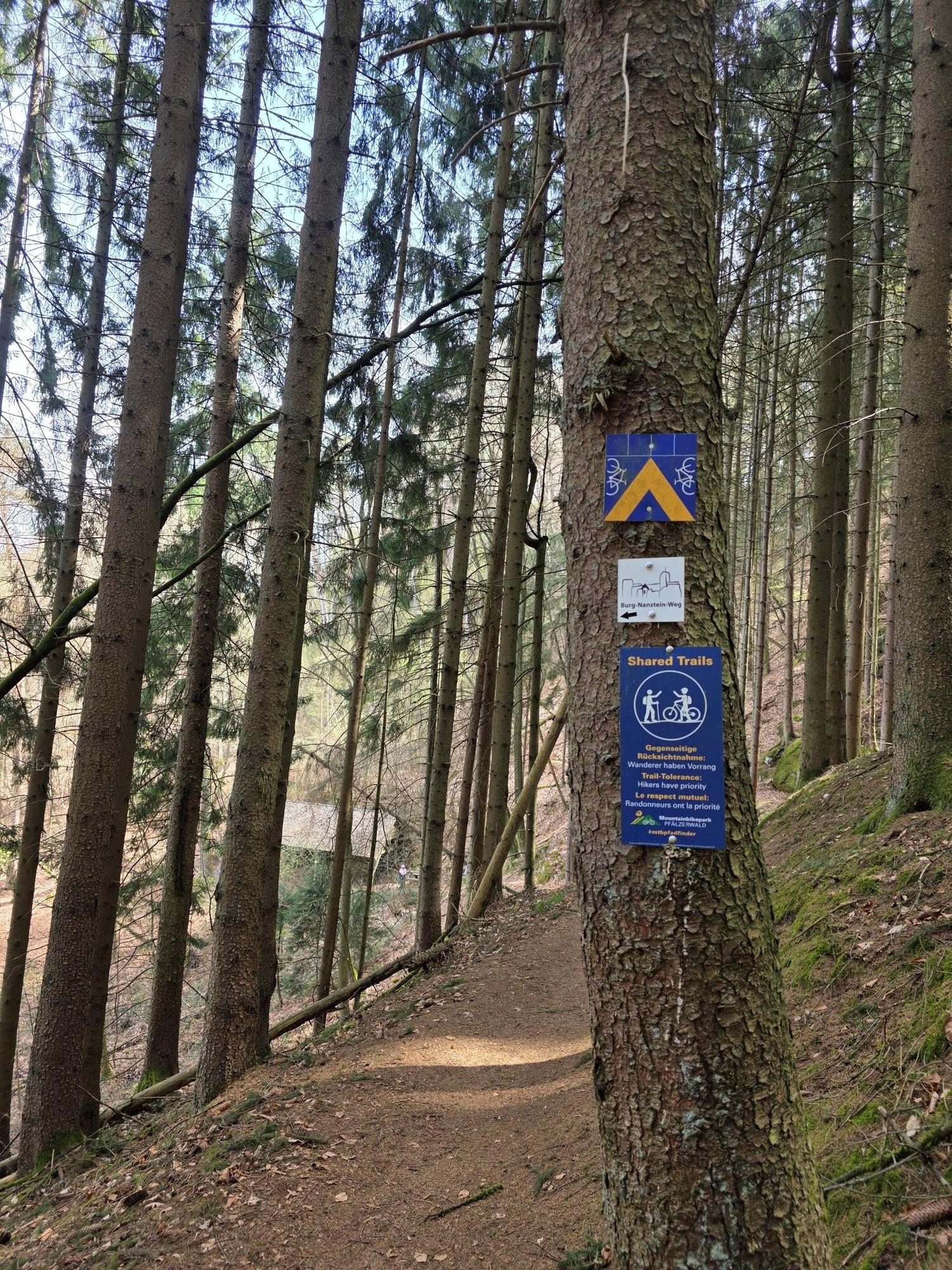Kaiserslautern Bike and Climb Event