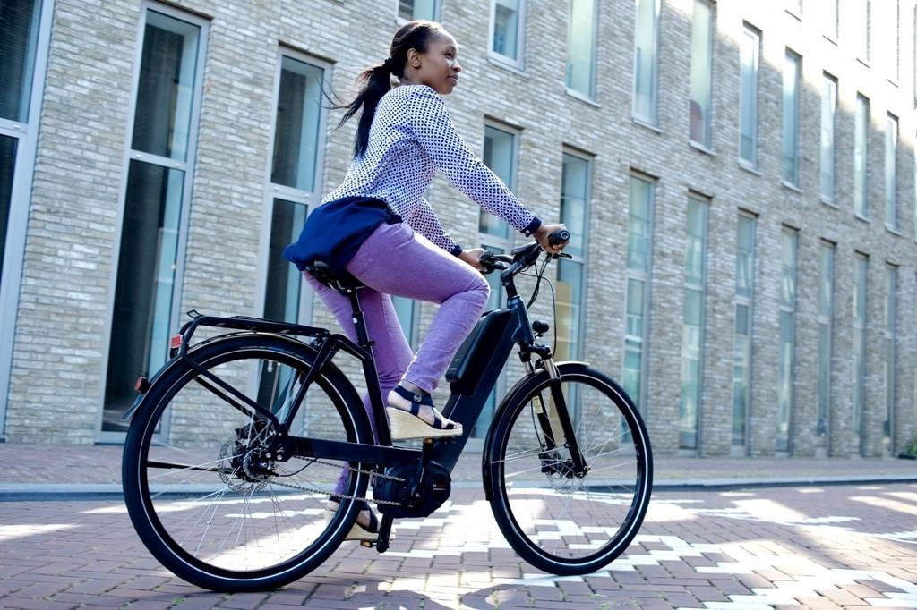 Das Bild zeigt ein Riese & Müller blueLABEL Nevo