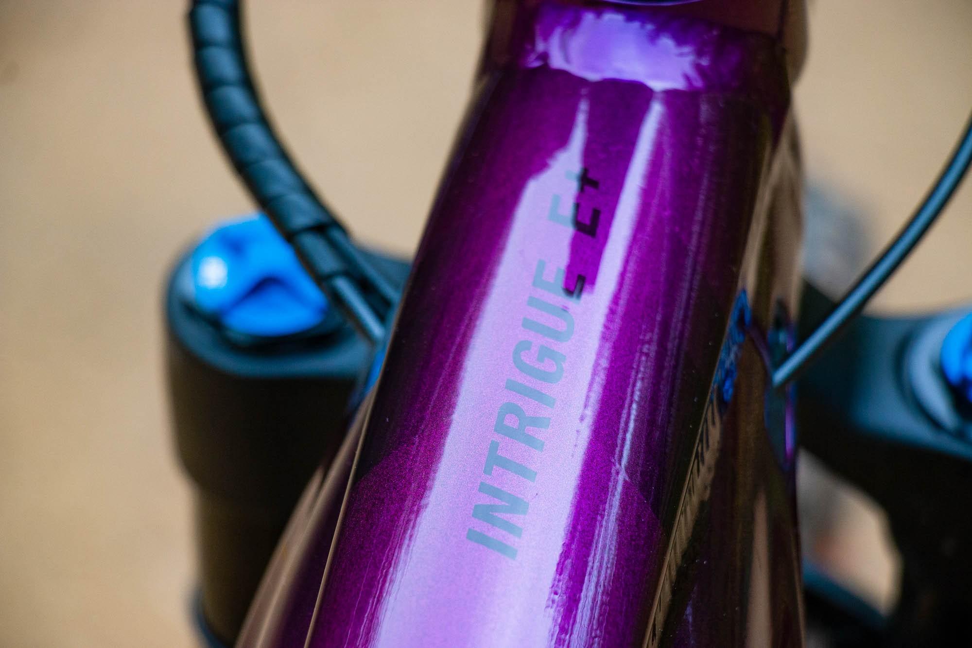 Liv Intrigue X E+ Rahmen