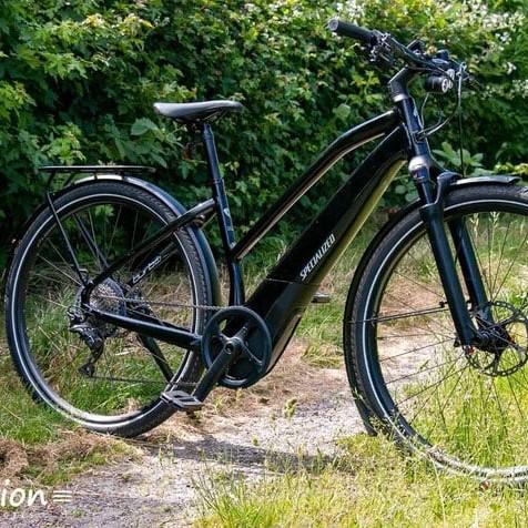 Specialized Turbo Vado 5.0 E-Bike auf einem Waldweg