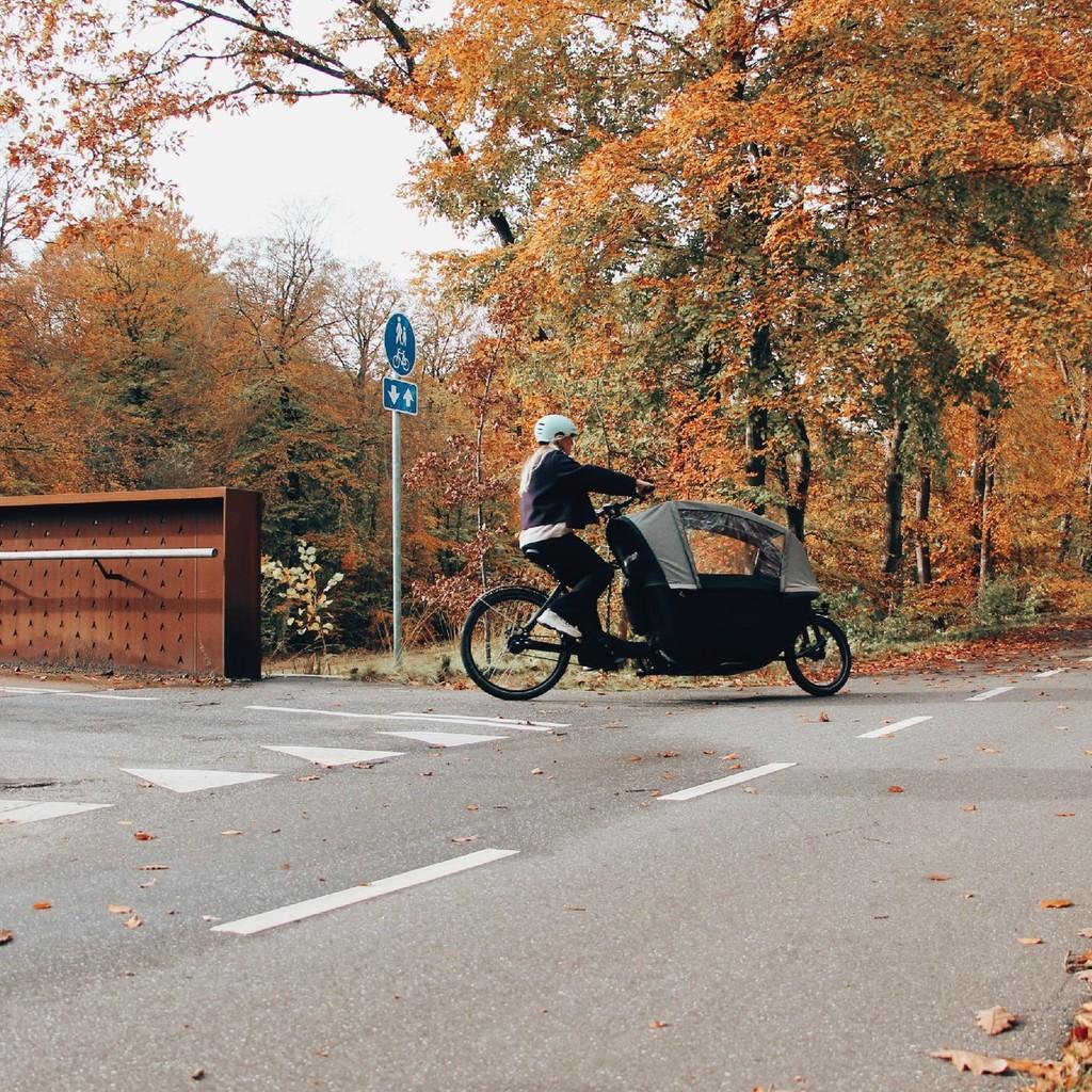 Erleben Sie das Winther W2 Cargo Bike: Das perfekte E-Lastenrad fĂĽr Ihre Abenteuer in herbstlicher Landschaft.