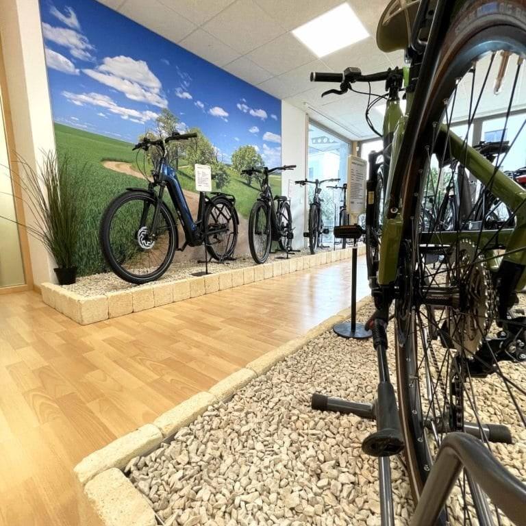 Ausstellung von E-Bikes in modernem Showroom mit Naturkulisse