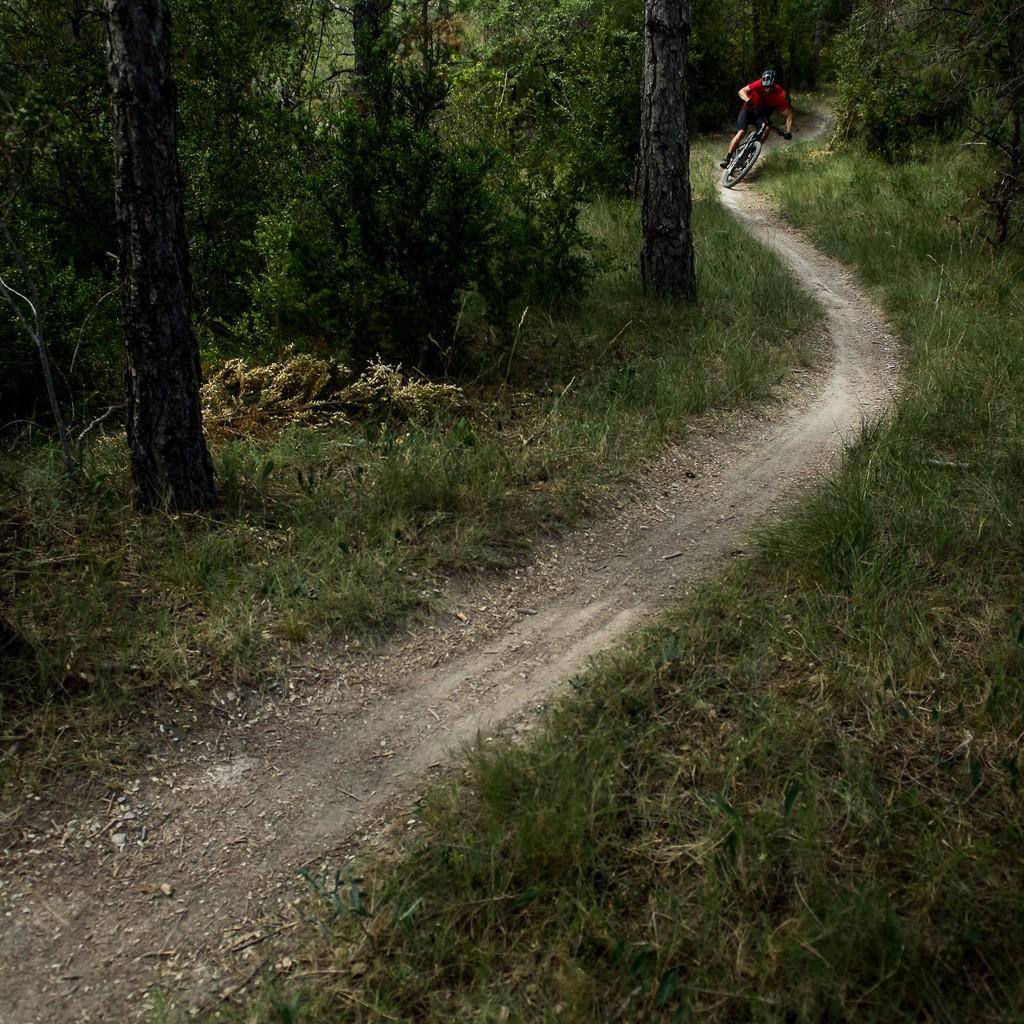 e-Biker im Wald auf Weg