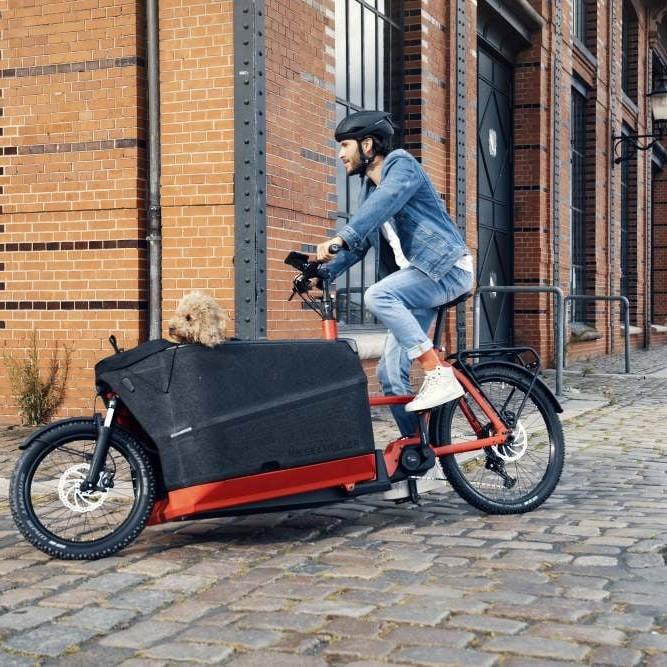 Mann auf Riese & Müller Packster 70 E-Bike mit Hund in der Transportbox