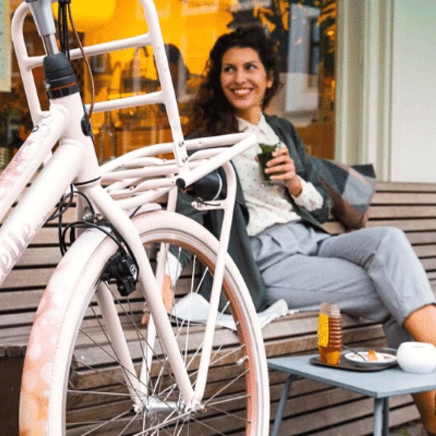Neben dem Gazelle Miss Grace gibt es in der e-motion e-bike Welt in Kaiserslautern auch weitere Retro e-Bikes.