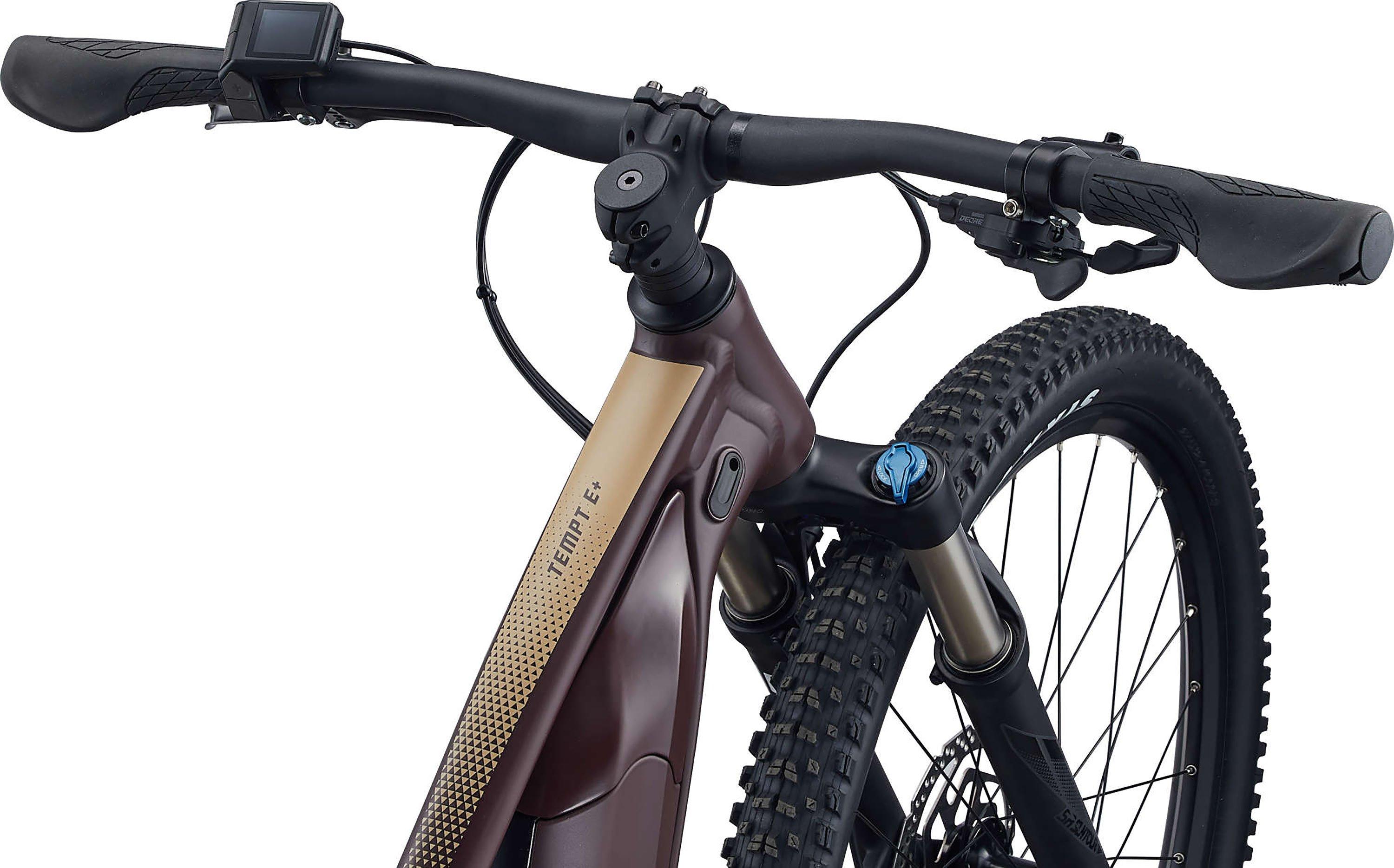 Liv Tempt E+ 1 Rot/Braun – Image 5