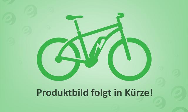Turbo Levo Alloy
