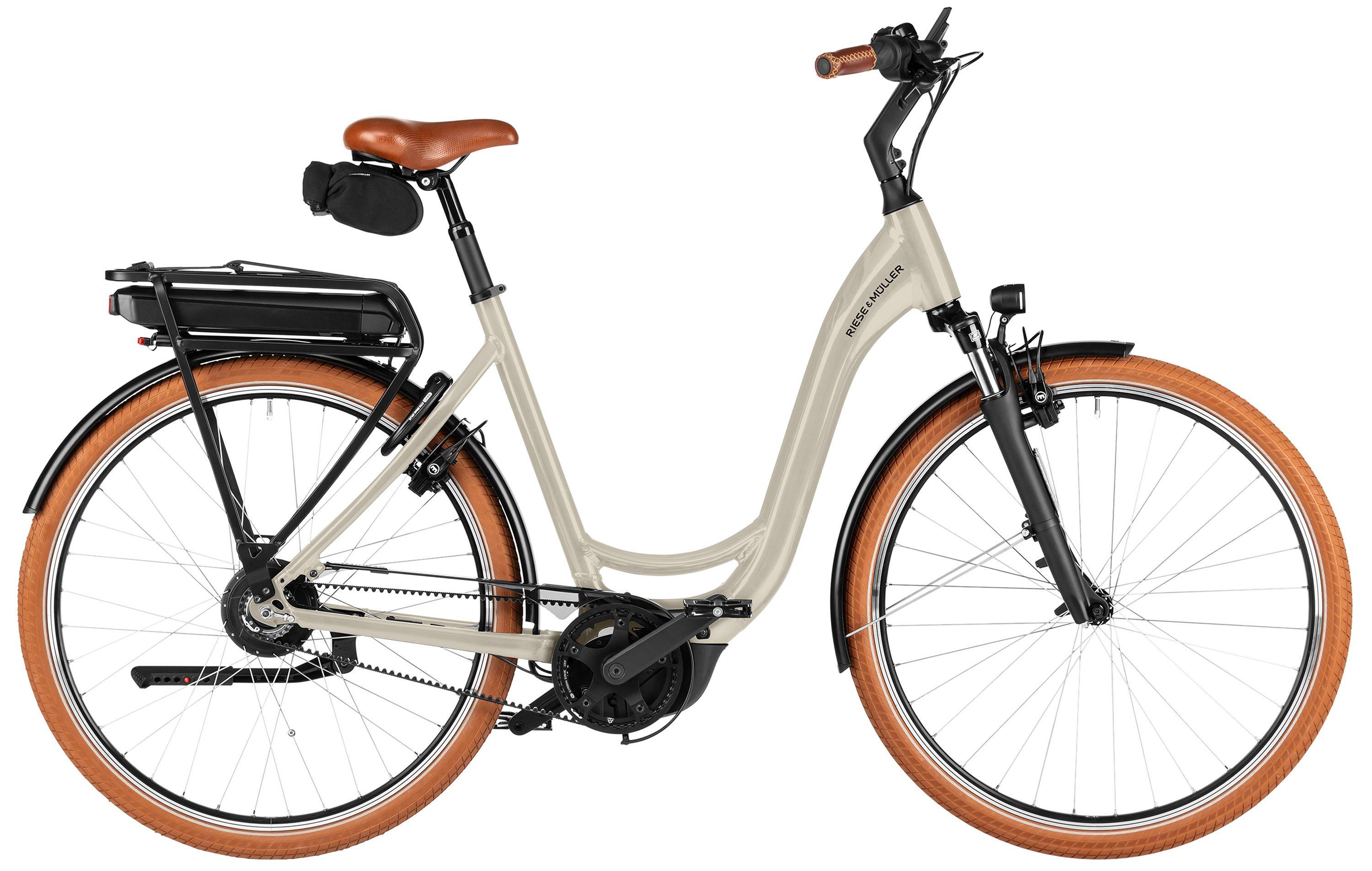 Riese & Müller Swing5 vario Testbike