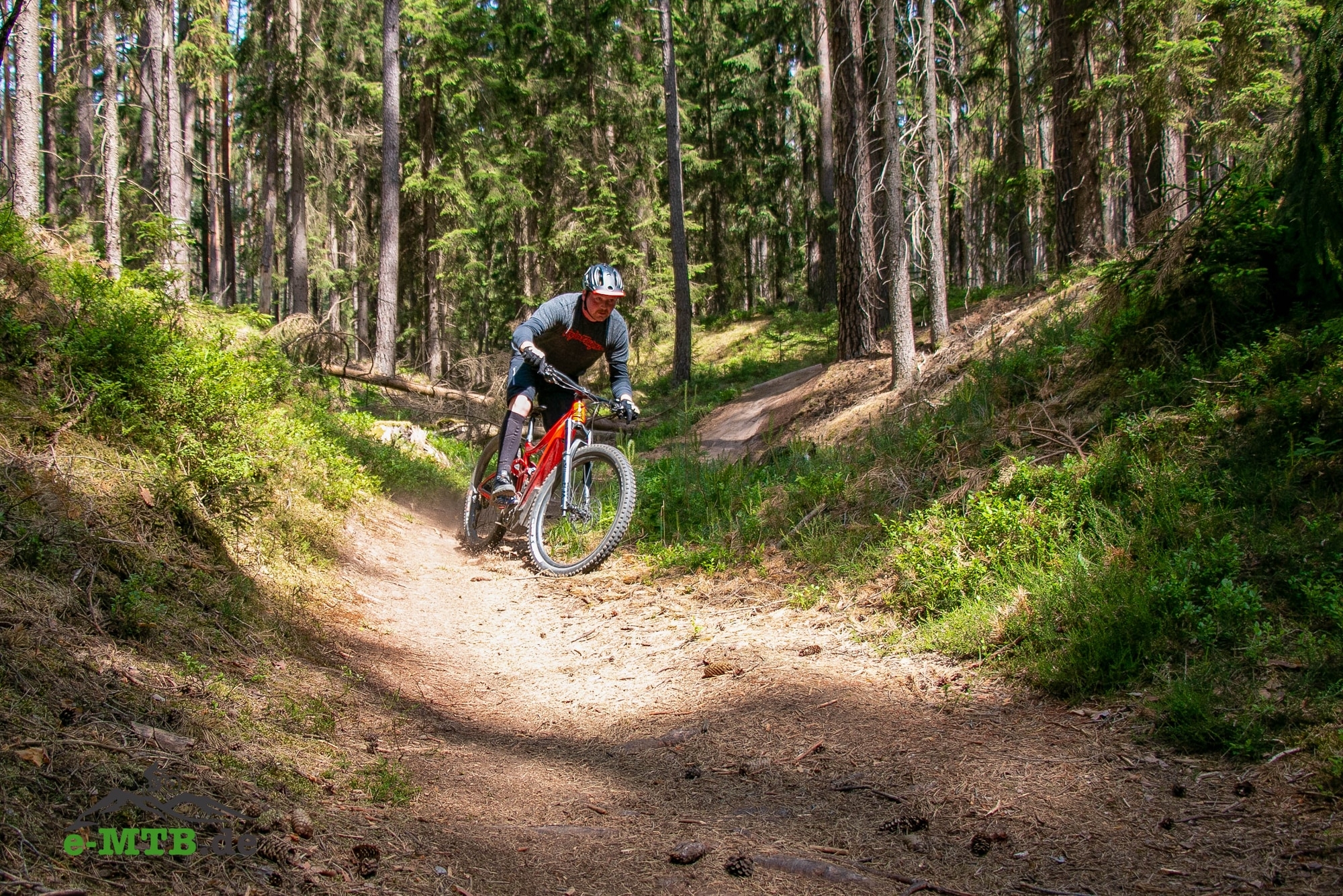 Entdecken Sie die Dynamik des Giant Reign E+ 2020 eMTB bei rasanten Fahrten durch malerische Bayerns Wälder. Perfek