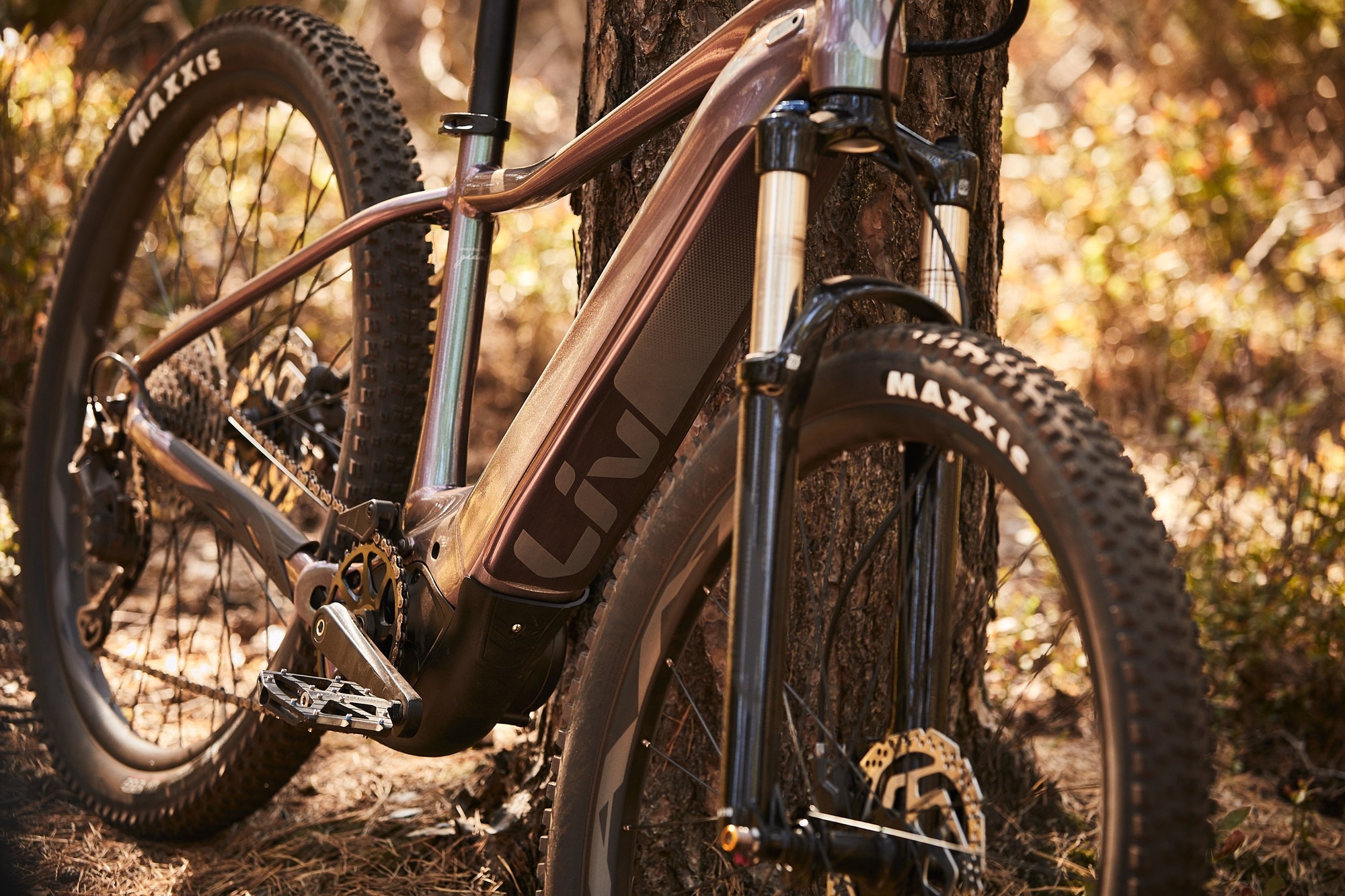 Das Bild zeigt das Liv Vall E+, dass für anspruchsvolle Trails und Offroad-Abenteuer konzipiert ist.