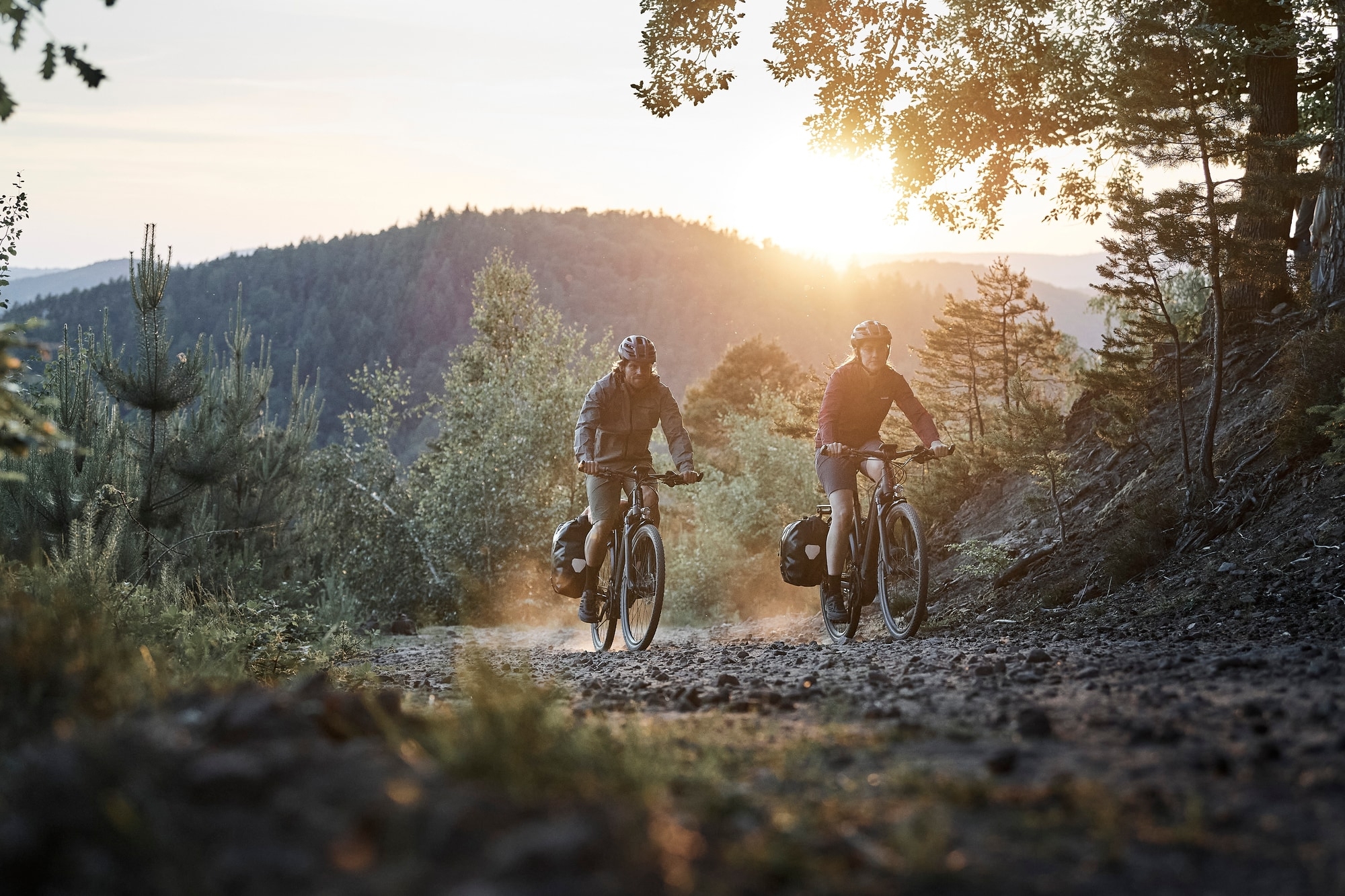Genießen Sie die Natur mit unseren E-Bikes und erleben Sie unvergessliche Momente auf ruhigen Waldwegen.