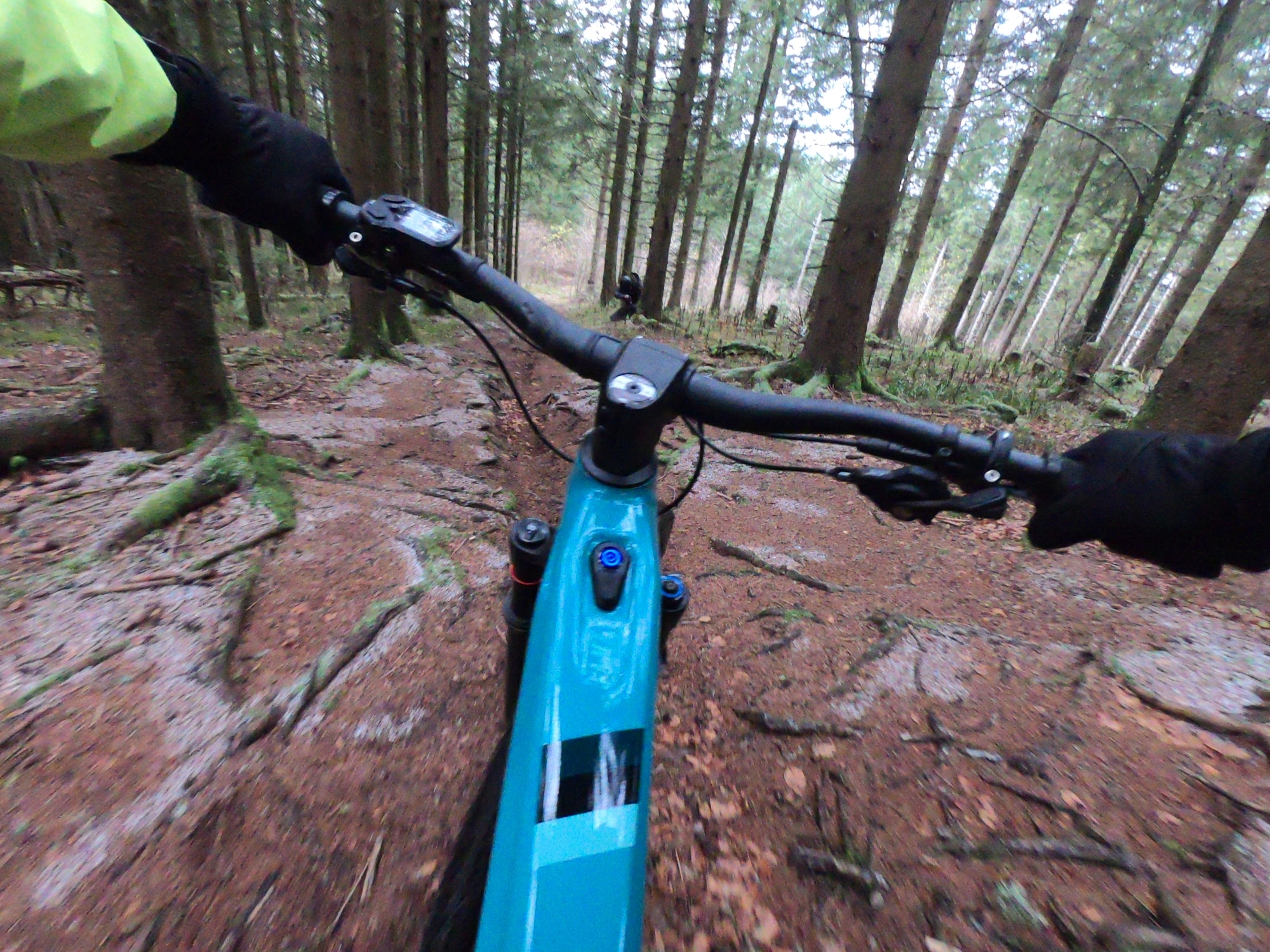 Erleben Sie das Focus Jam 7.8 E-Bike im Offroad-Abenteuer. Perfekt für anspruchsvolle Trails in bewaldetem Gelände.