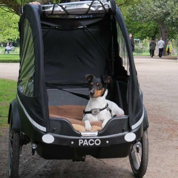 Das Bild zeigt einen Winther Kangaroo Dog Fahrradanhänger, der speziell für den Hundetransport konzipiert ist.