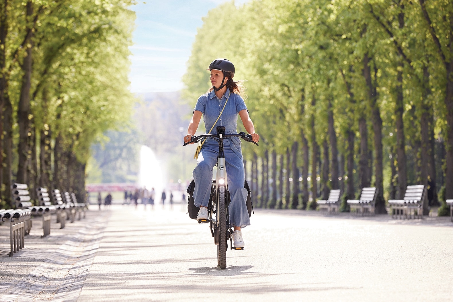 Entdecken Sie das Gazelle E-Bike im Grünen von Düsseldorf für ein komfortables und effizientes Fahrerlebnis.
