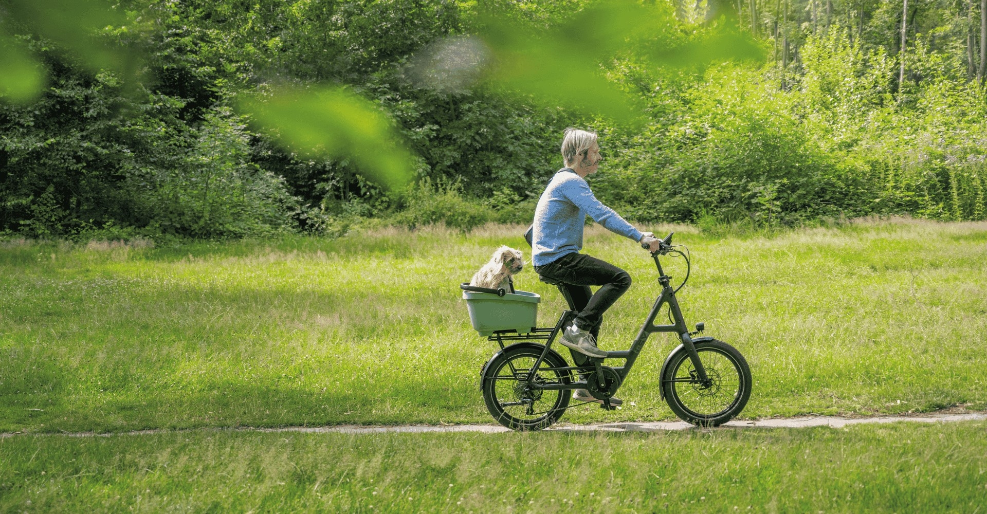 Person fährt auf dem e-Bike i:SY und einem Hund im Korb ins Grüne