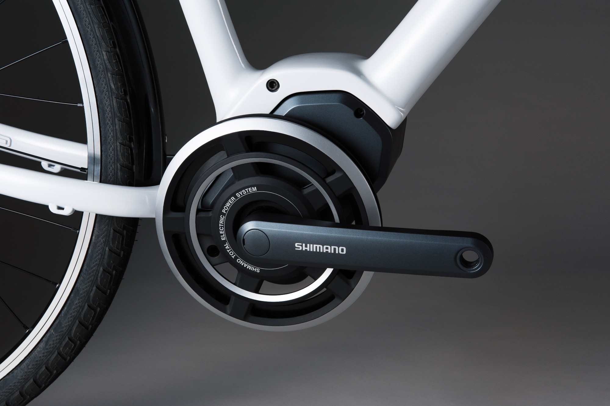 Das Bild zeigt einen Shimano Steps E6000 (Cargo) Antrieb