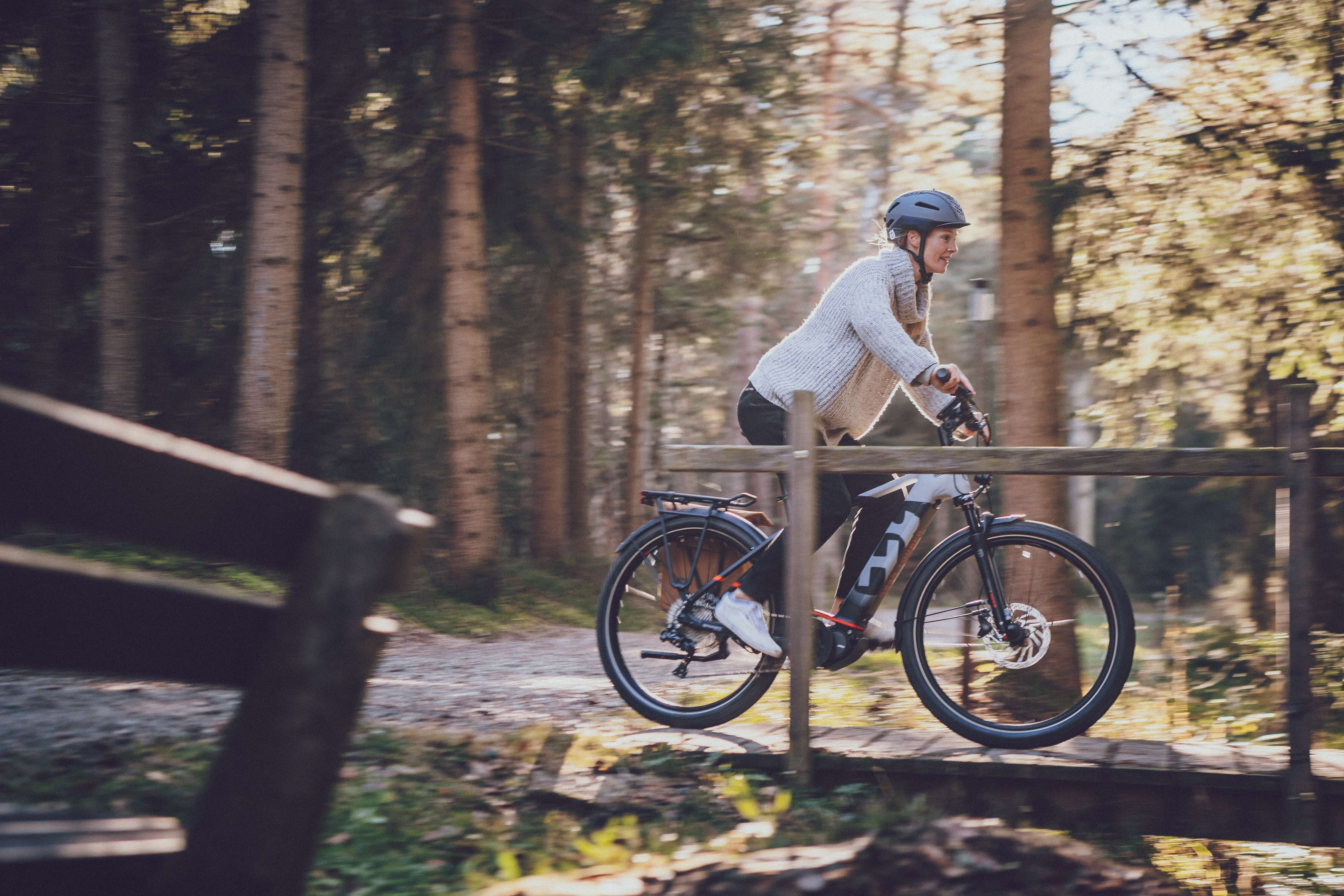 Gran Tourer 6 E-Bike in der Natur