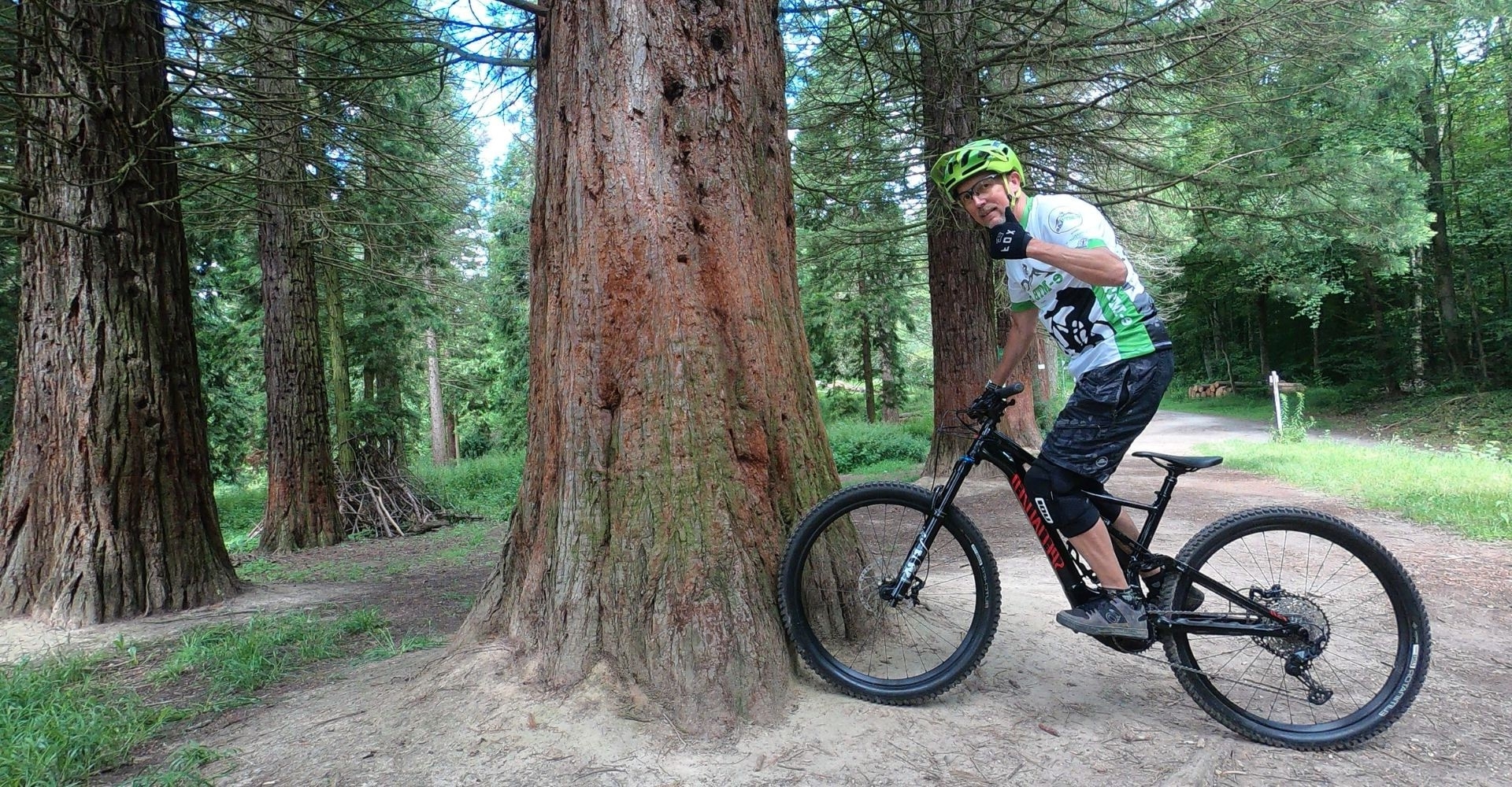 Ein Mountainbiker fährt auf dem Specialized Turbo Levo Comp im Wald.