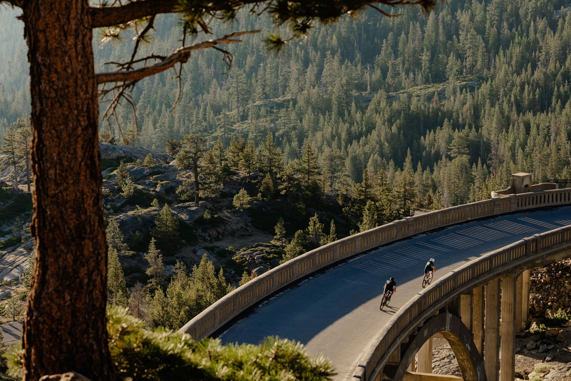 Das Bild zeigt zwei Personen auf Specialized Turbo Creo 2 e-Rennrädern in der Natur