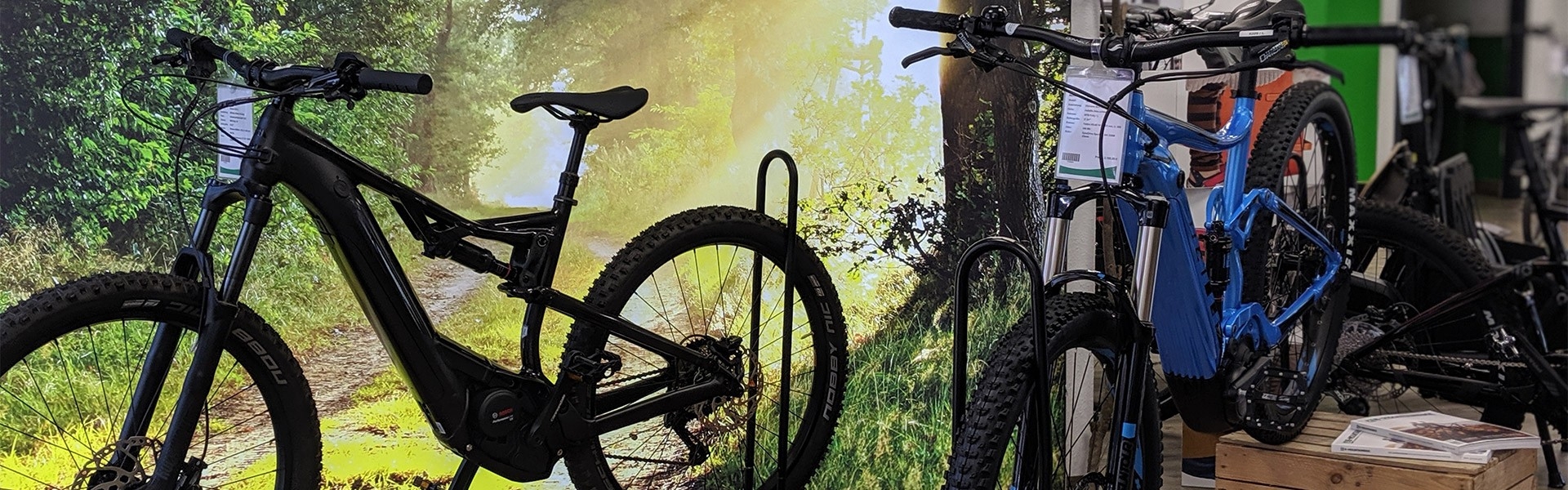 Das Bild zeigt eine ansprechende Präsentation von E-Bikes und Mountainbikes in einem Fahrradgeschäft in Tönisvorst.