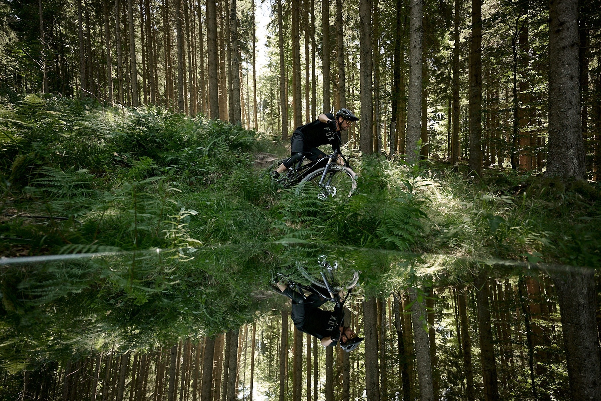 Das Bild zeigt ein E-Bike vom Modell Giant Trance X Advanced E+ LTD, das sich in einem bewaldeten Gelände befindet.