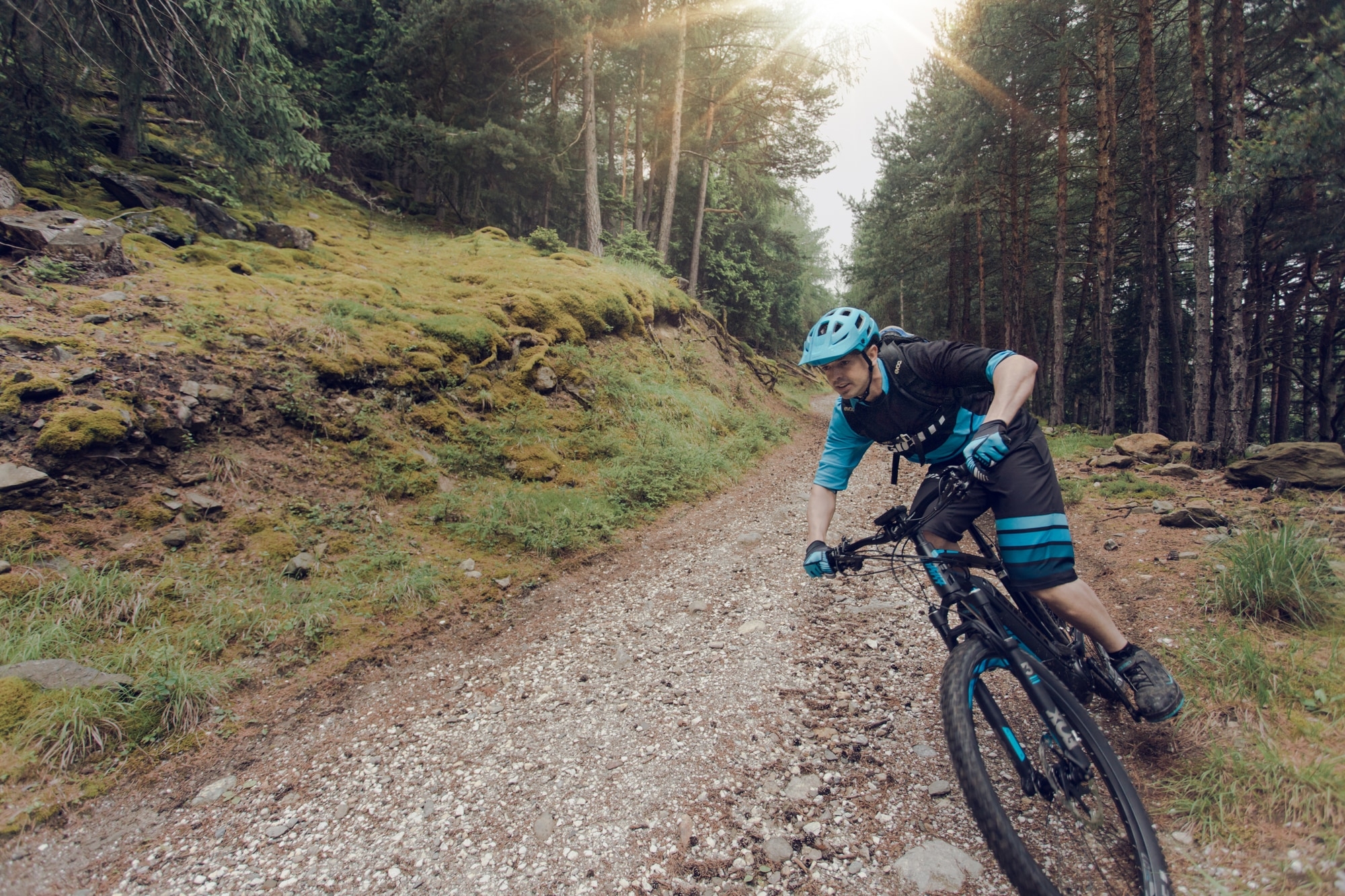 Genießen Sie spannende Abfahrten mit einem Giant Mountainbike. Perfekt für Offroad-Abenteuer in malerischen Wäldern