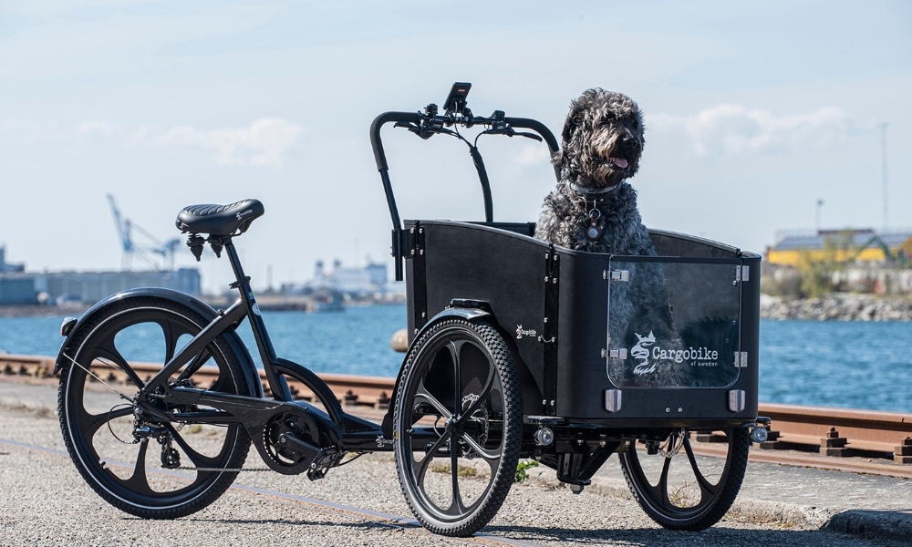 Ein Hund schaut aus einem Lastenrad von Cargobike of Sweden am Hafen. Perfekt für den Transport von Haustieren.
