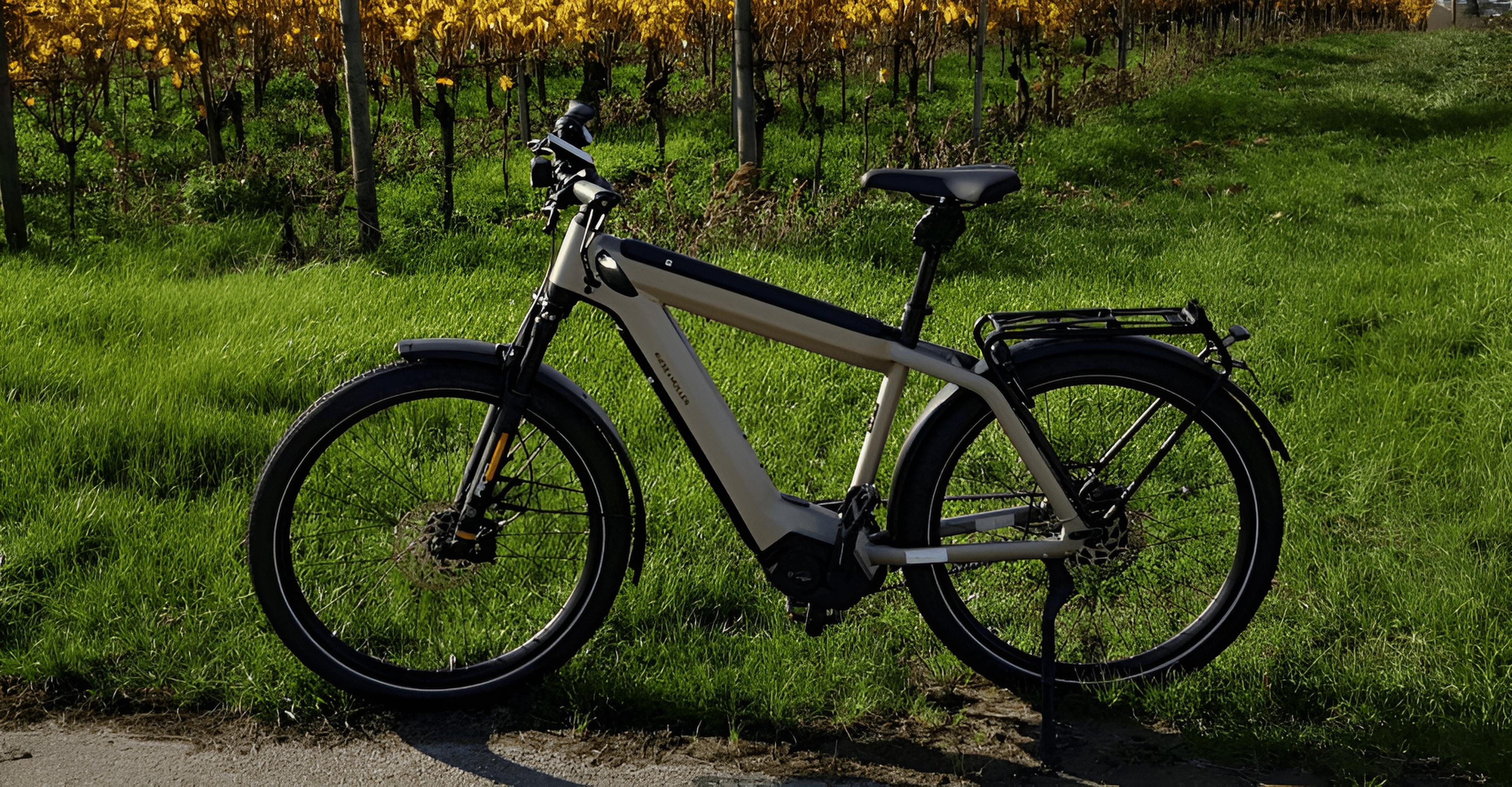 Das e-Bike Riese & Müller Supercharger2 GT Vario HS 2020 steht vor einer Wiese