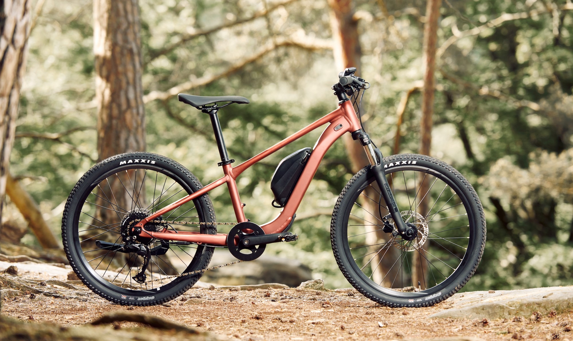 Das Bild zeigt ein Giant Talon E+ JR 24