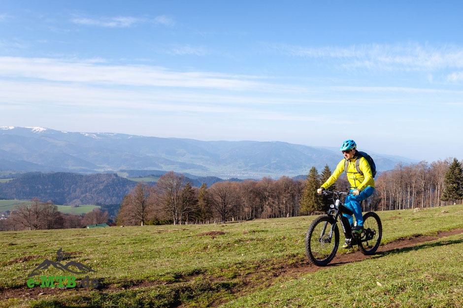 Erkunden Sie atemberaubende Landschaften mit dem Riese & Müller Delite Mountain E-Bike, ausgestattet mit Bosch Perf