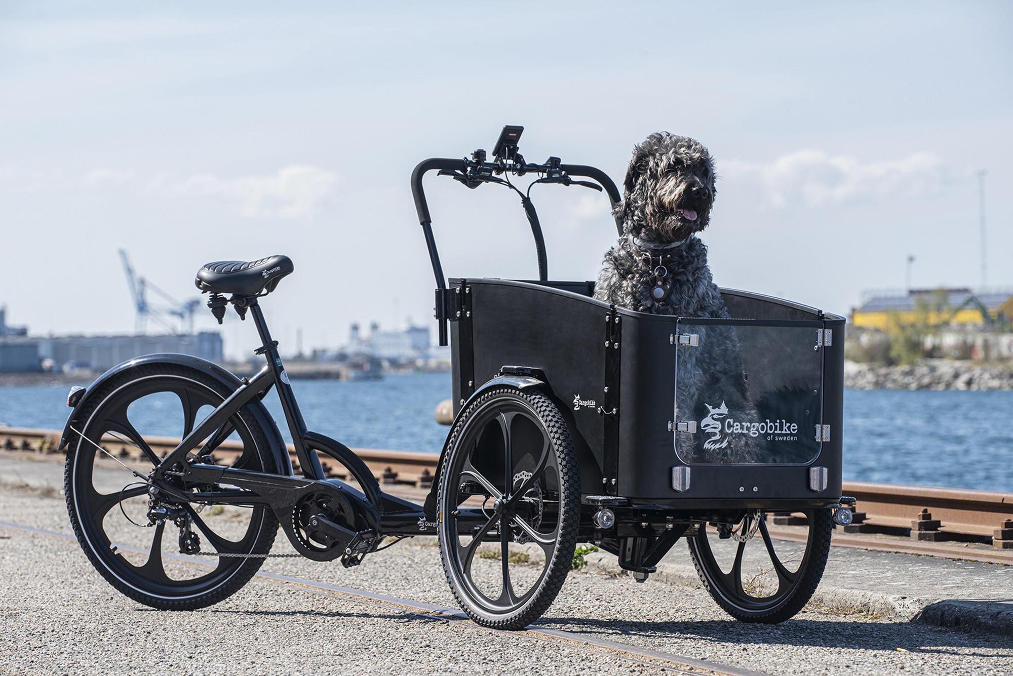 Cargobike of Sweden DeLight. Ein großer, lockiger Hund sitzt in der schwarzen Transportbox vorne.