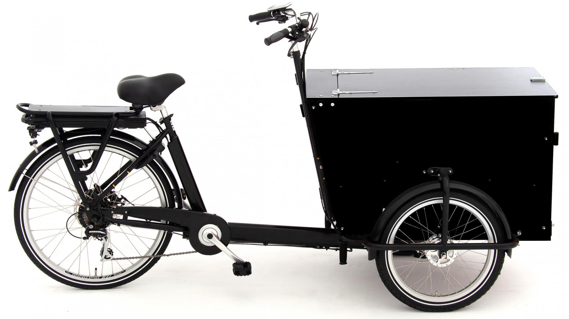 babboe pro trike