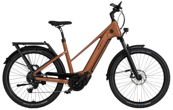 Velo de Ville SEB 490 Alfine 11 2024 Trekking e-Bike